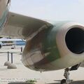 vautour_IIN_0030.jpg