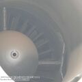 vautour_IIN_0031.jpg