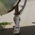 vautour_IIN_0033.jpg