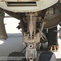 vautour_IIN_0035.jpg