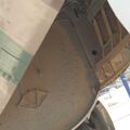 vautour_IIN_0036.jpg