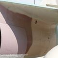 vautour_IIN_0039.jpg