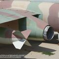 vautour_IIN_0043.jpg