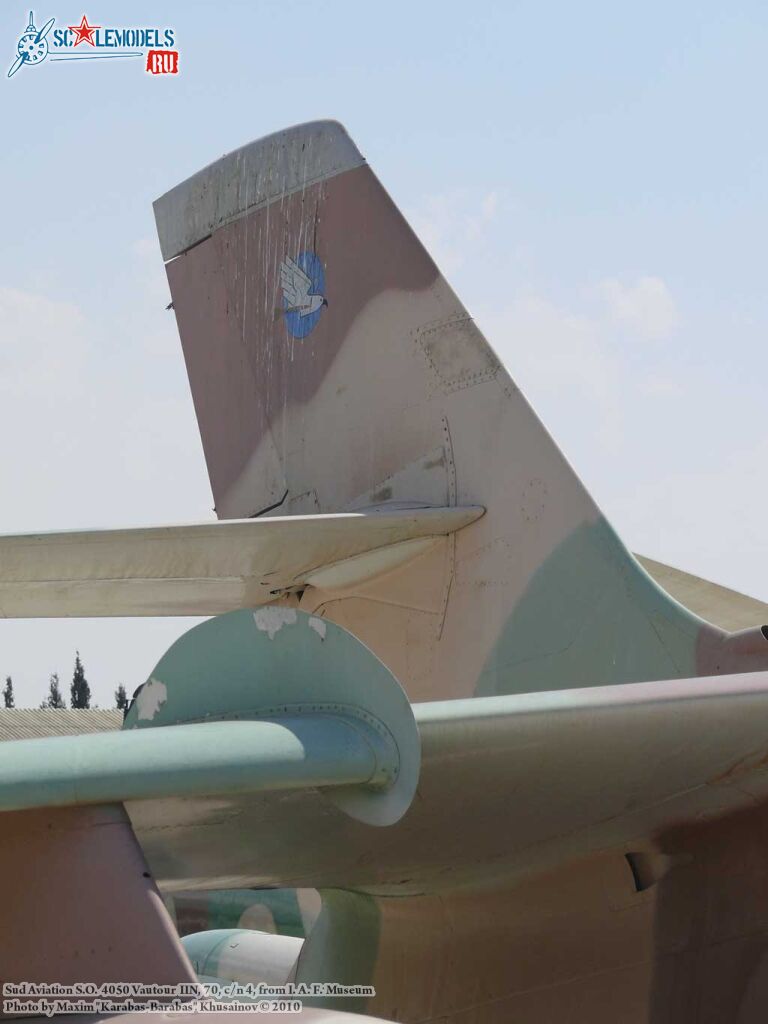 vautour_IIN_0023.jpg
