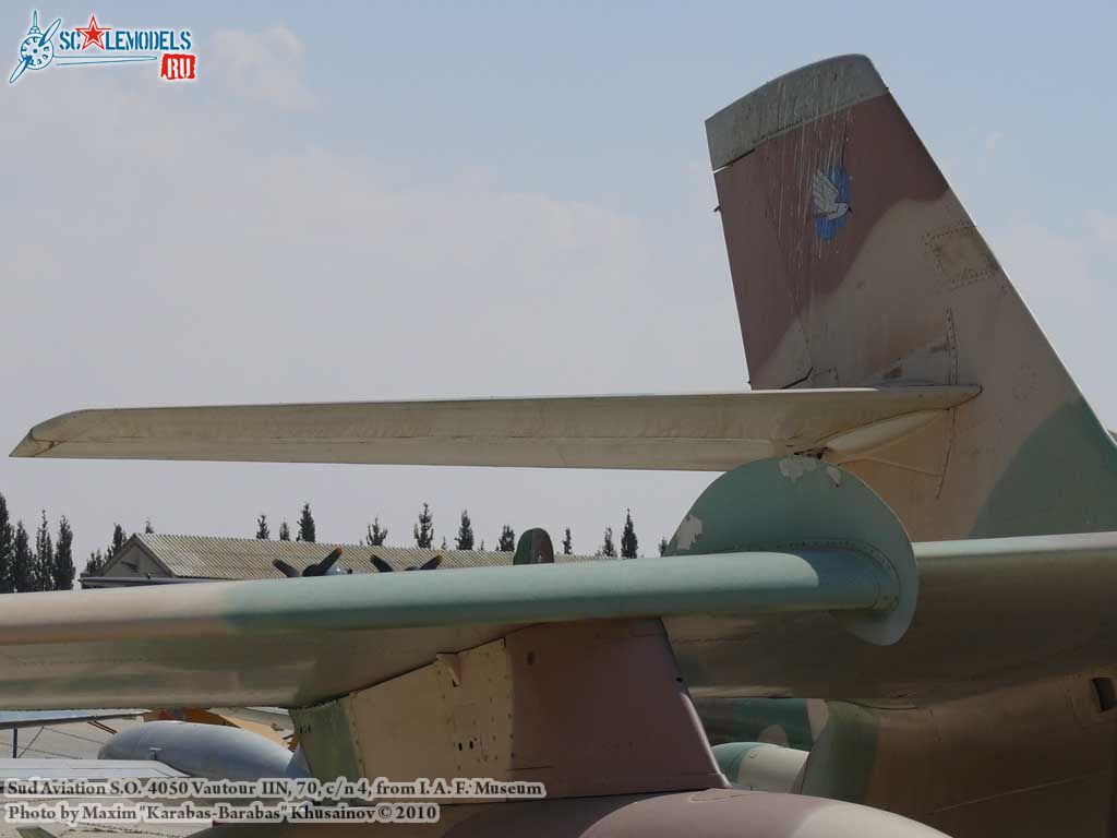 vautour_IIN_0024.jpg