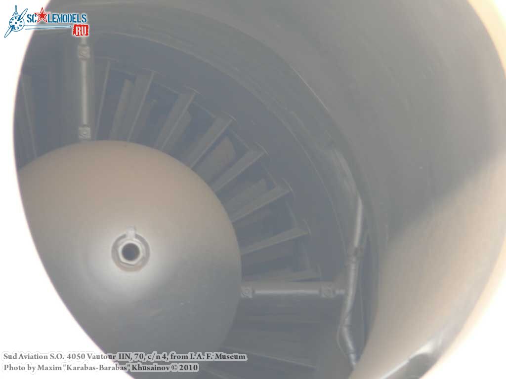 vautour_IIN_0031.jpg