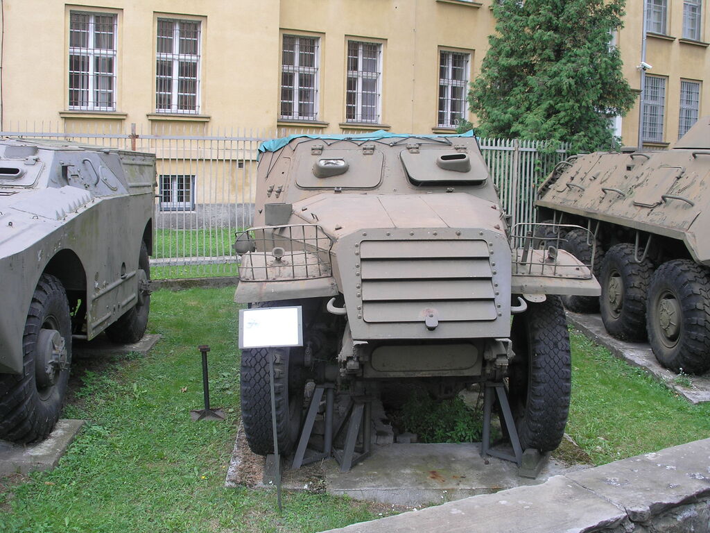 BRT-152-01-by Kamil Andu?a.JPG