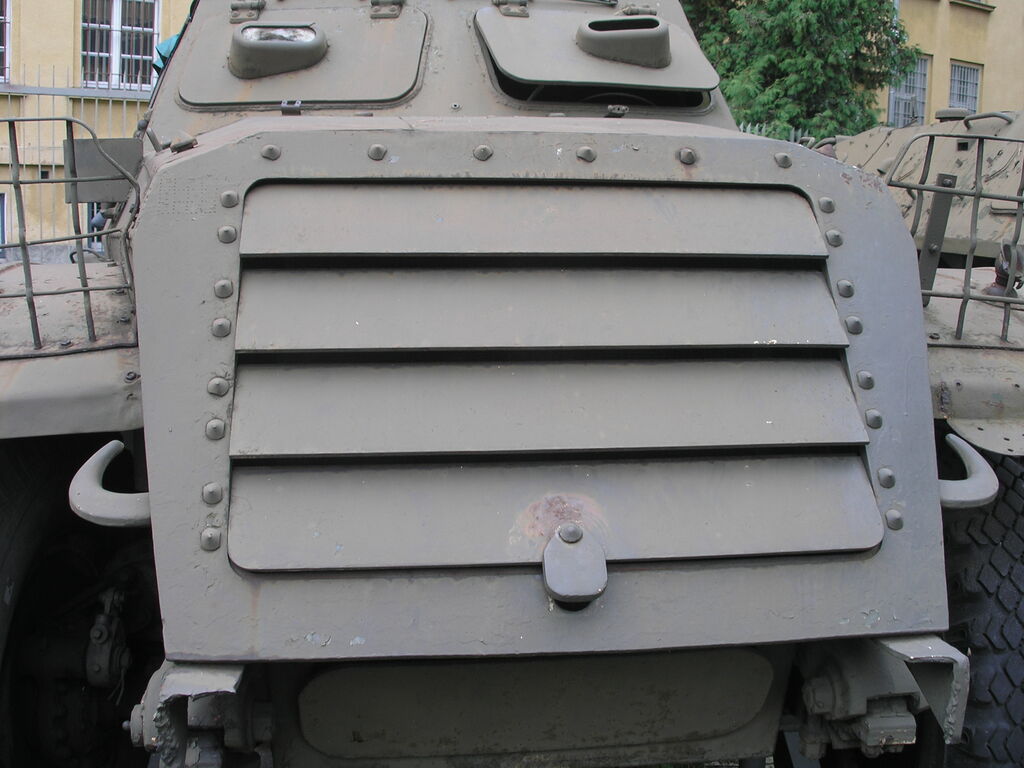 BRT-152-10-by Kamil Andu?a.JPG