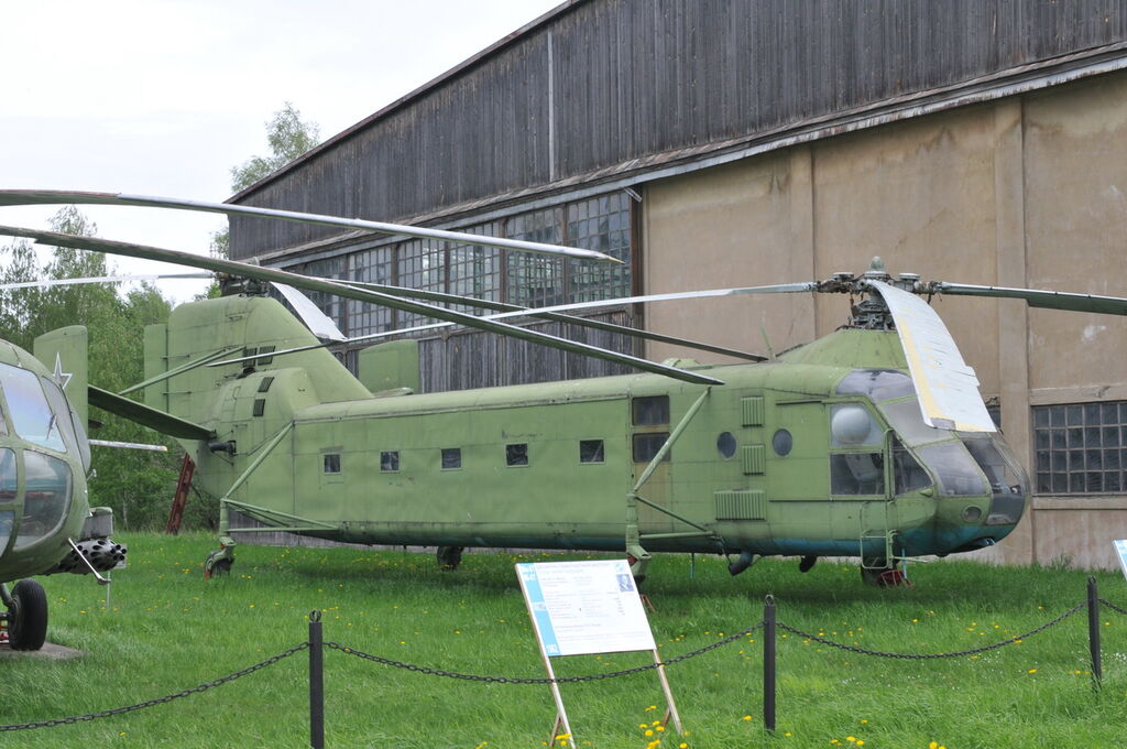 DSC_7142.JPG