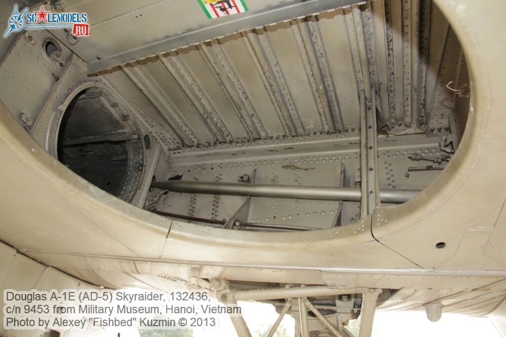 AD-5_Skyraider_0007.jpg