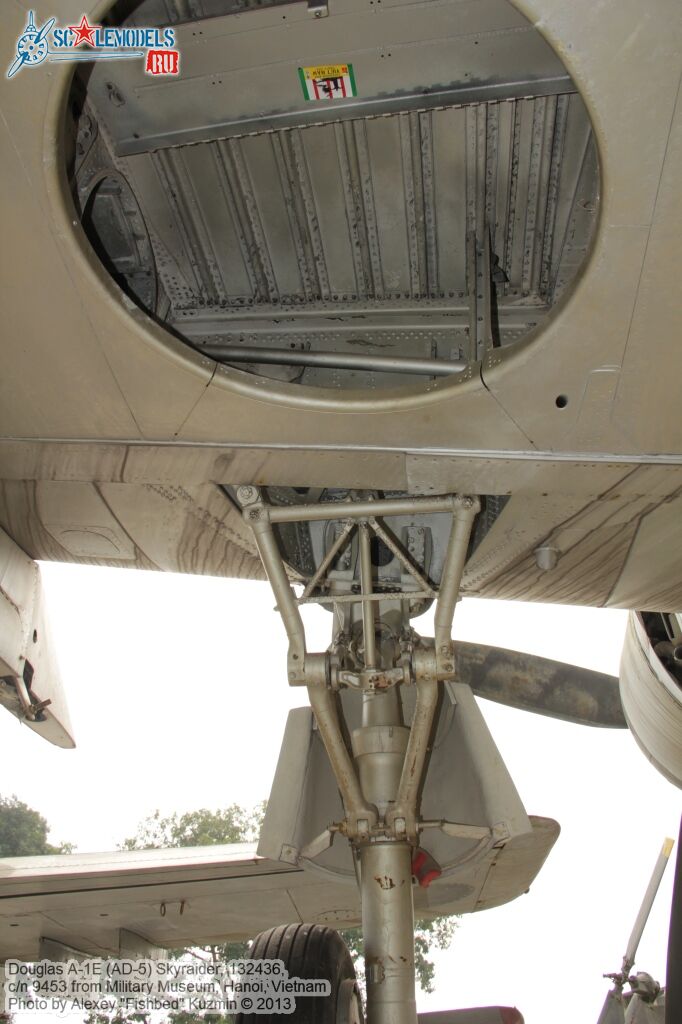 AD-5_Skyraider_0008.jpg