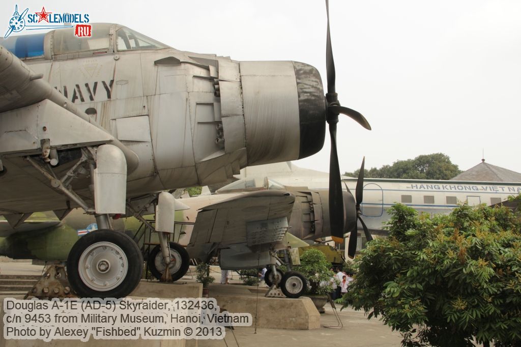 AD-5_Skyraider_0018.jpg