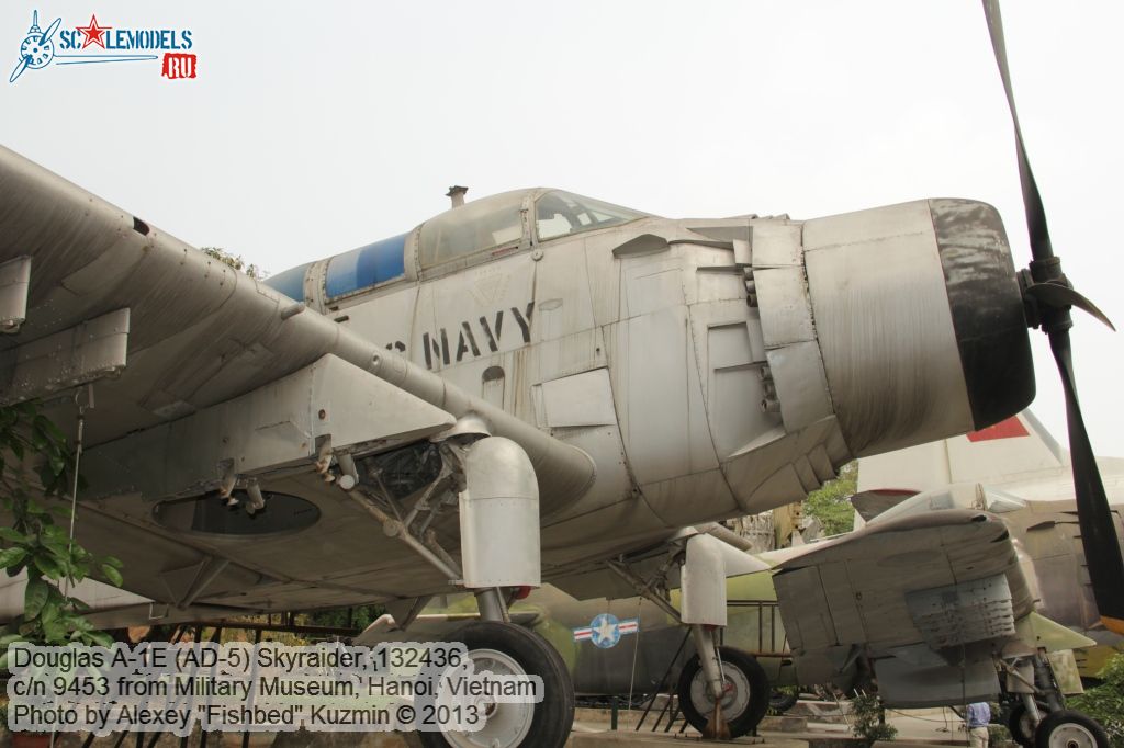 AD-5_Skyraider_0019.jpg