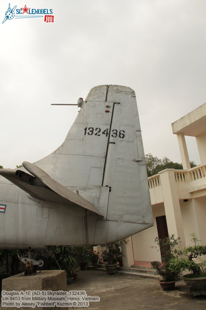 AD-5_Skyraider_0024.jpg