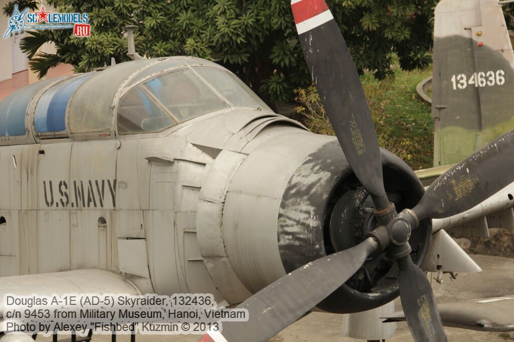 AD-5_Skyraider_0046.jpg