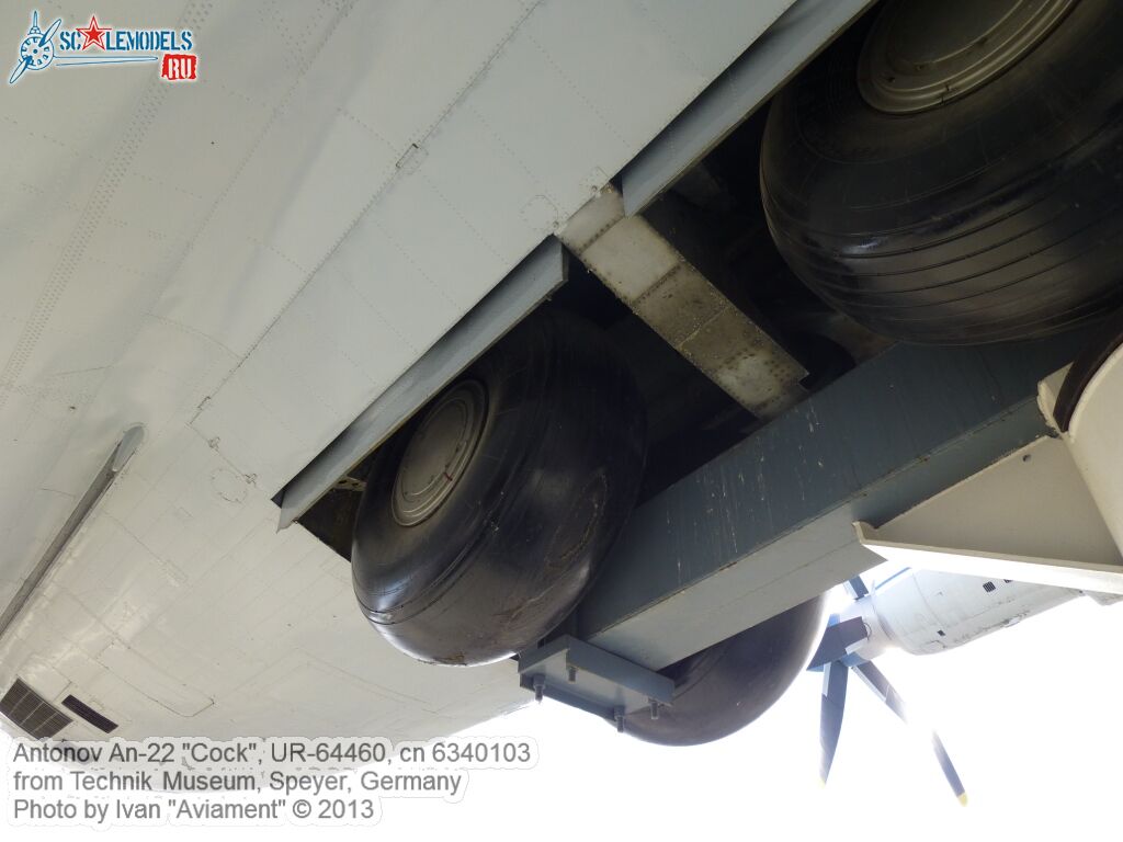 An-22_UR-64460_0010.jpg