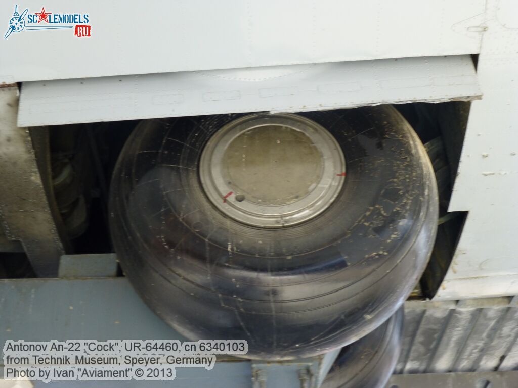 An-22_UR-64460_0012.jpg