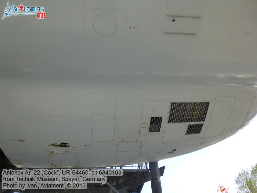 An-22_UR-64460_0014.jpg