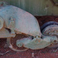 IMGP0442.jpg
