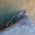 IMGP0450.jpg