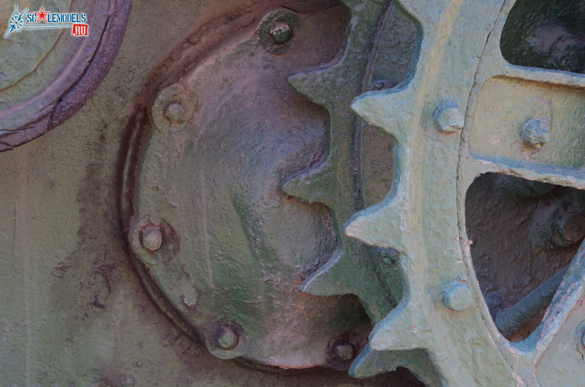 IMGP0441.jpg