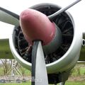 sprin82.jpg