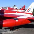 gnat1.jpg