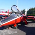 gnat10.jpg