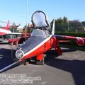 gnat16.jpg