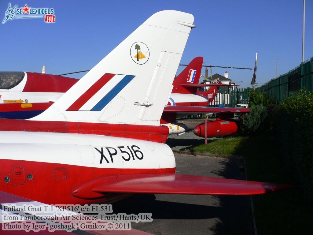 gnat3.jpg