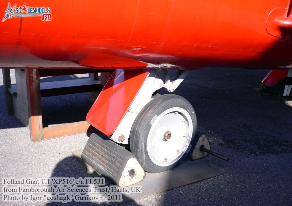 gnat19.jpg