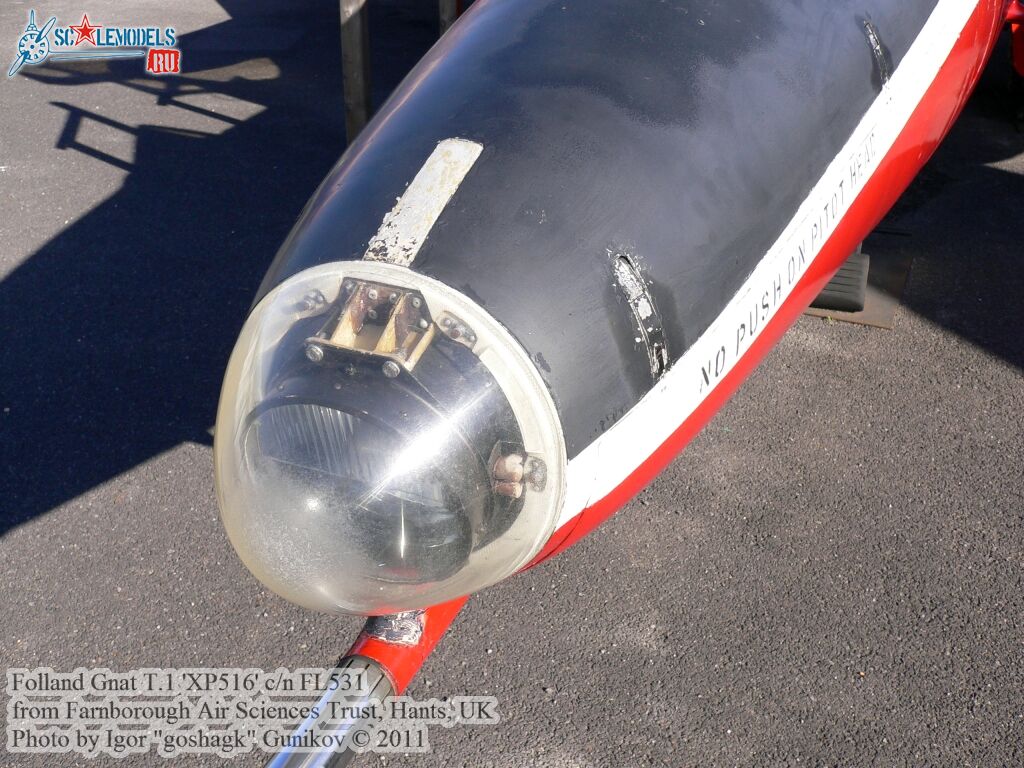 gnat17.jpg