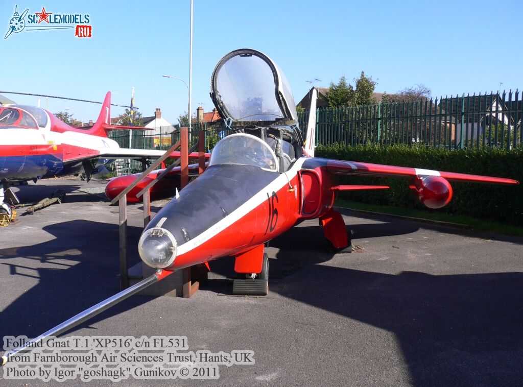 gnat16.jpg