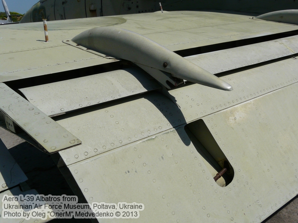 L-39_0214.jpg
