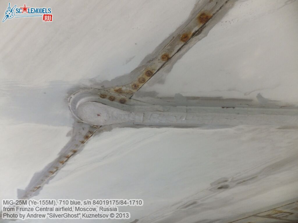 MiG-25M_0300.jpg