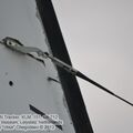 US-2N_Tracker_0103.jpg