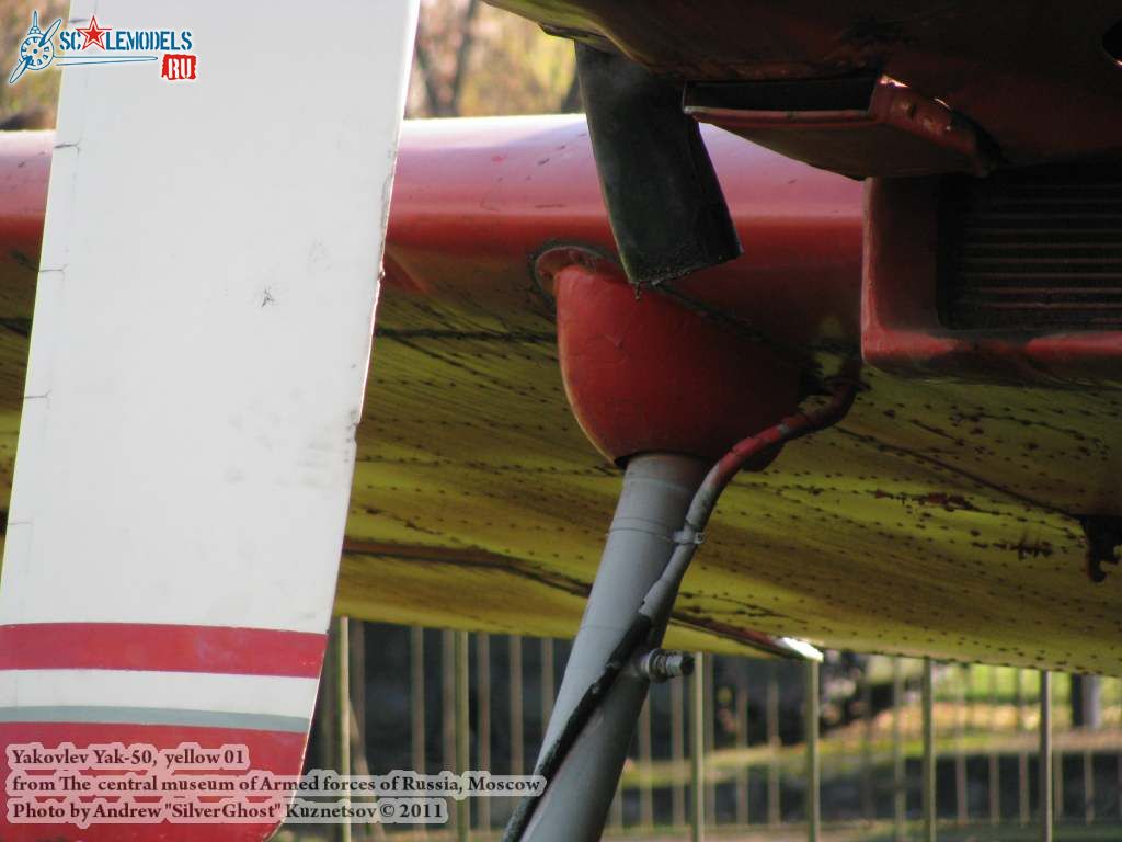 yak-50_0169.jpg