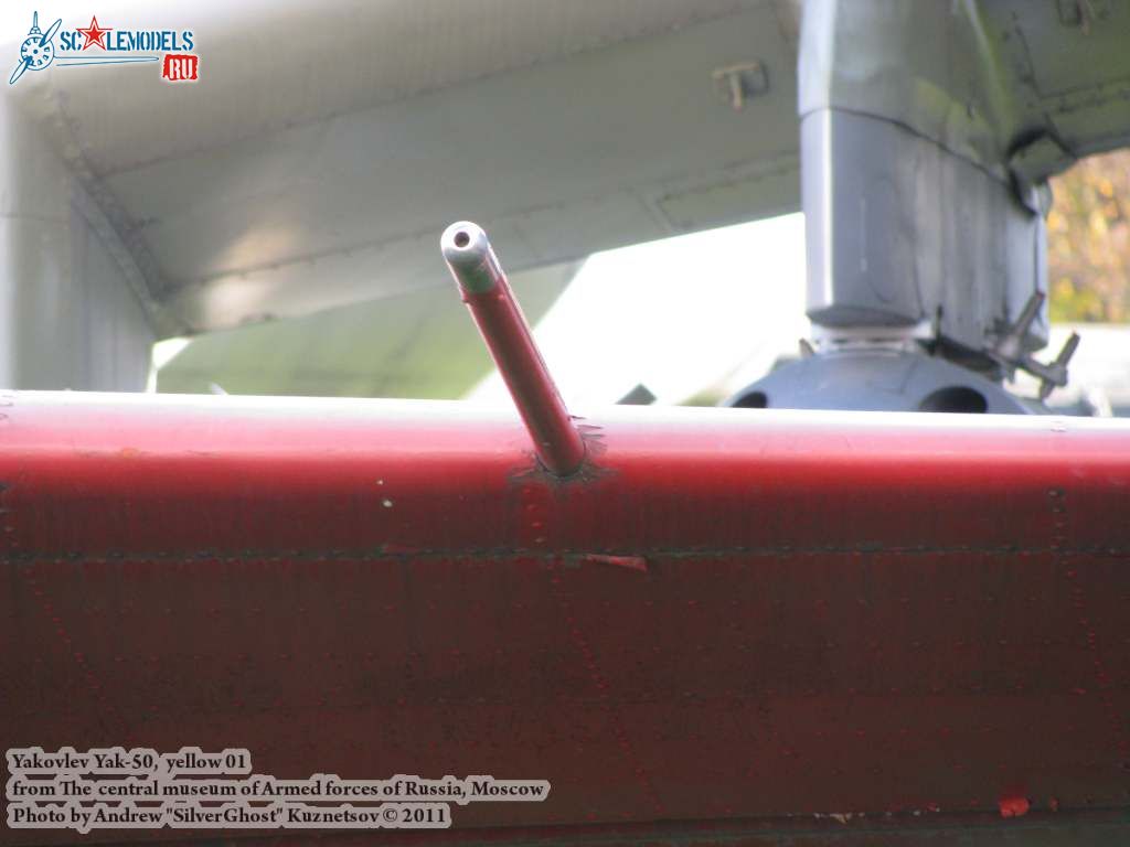 yak-50_0173.jpg