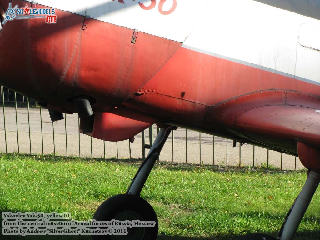 yak-50_0177.jpg