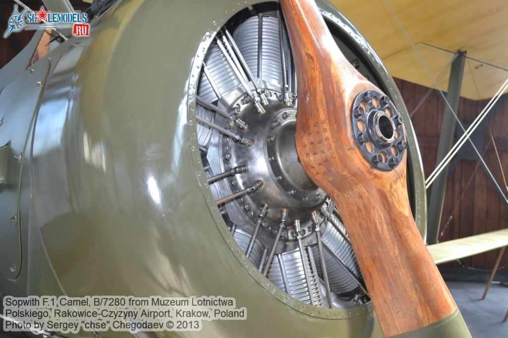 Sopwith_F1_0015.jpg