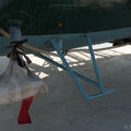 IMG_1064.jpg