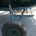 IMG_1071.jpg