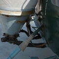 IMG_1074.jpg