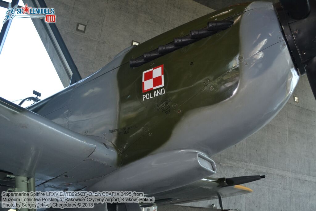 Spitfire_LF16E_0007.jpg