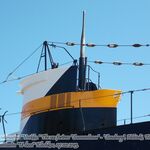 DSCN5101.jpg