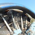 An-2_Colt_0009.jpg