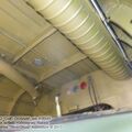 An-2_Colt_0029.jpg