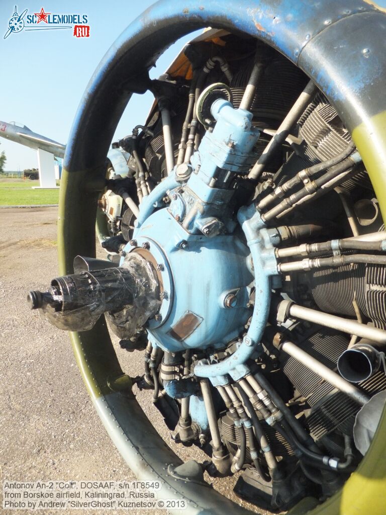 An-2_Colt_0011.jpg