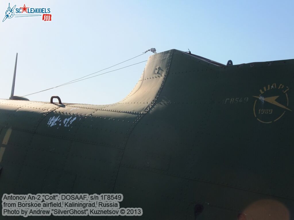 An-2_Colt_0035.jpg
