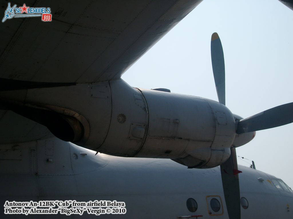 An-12BK_Belaya_118